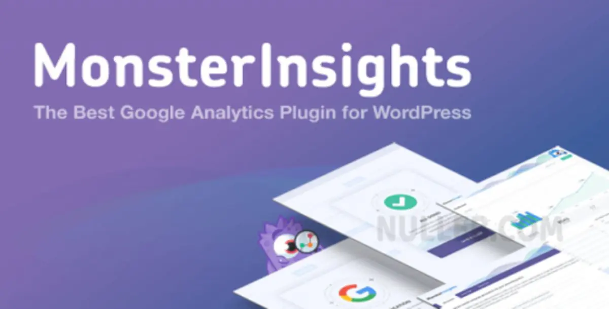 MonsterInsights v9.0.2 – Google Analytics Plugin for WordPress